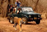 Jeep Safari At Ranthambore