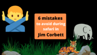 6 mistakes to avoid while on safari in Jim Corbett in 2021 (1)