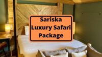 Sariska Luxury Safari Packages