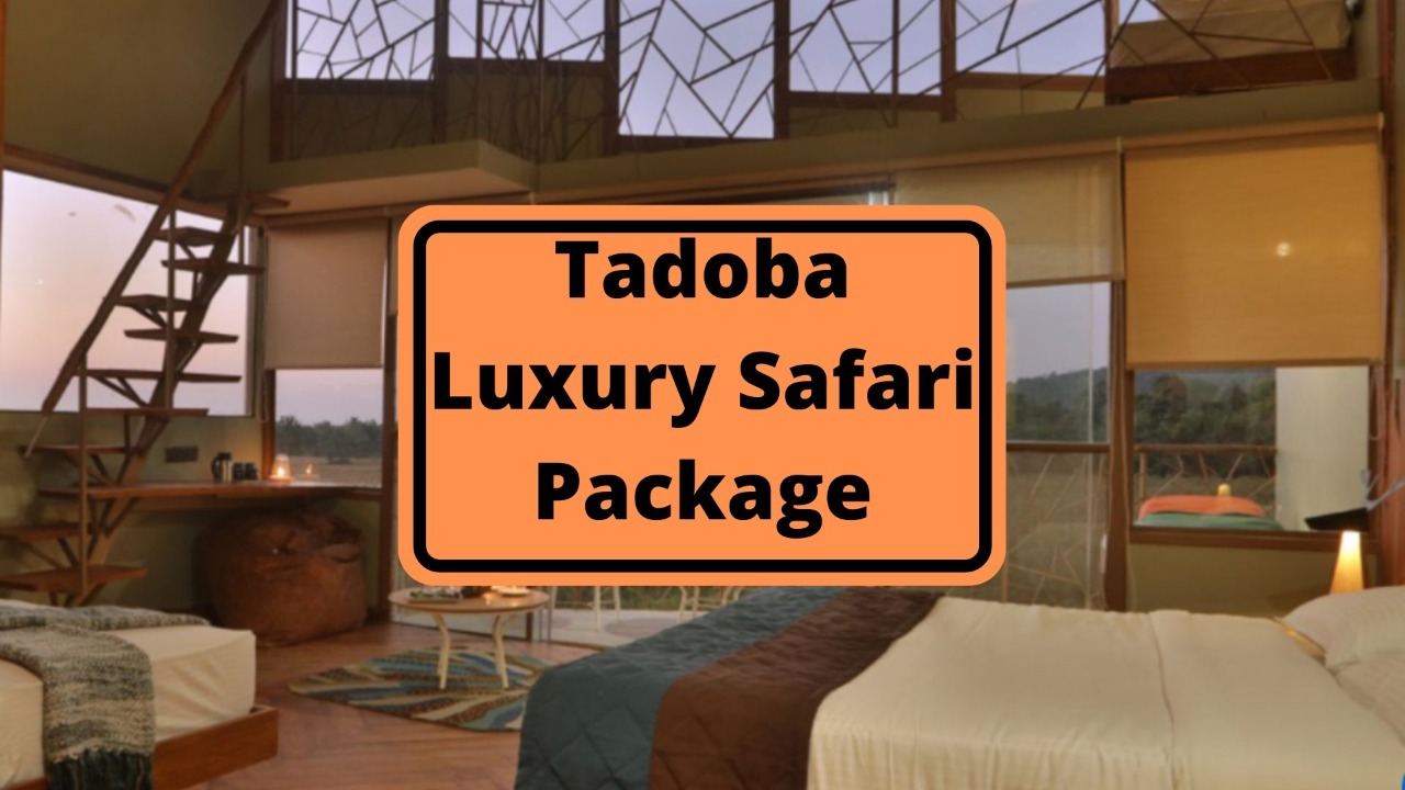 Tadoba Luxury Packages