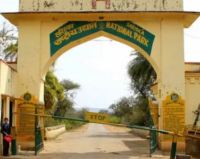 Sariska Safari Gate