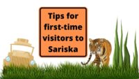 Tips For First time visitors to sariska