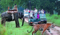 Jeep safari