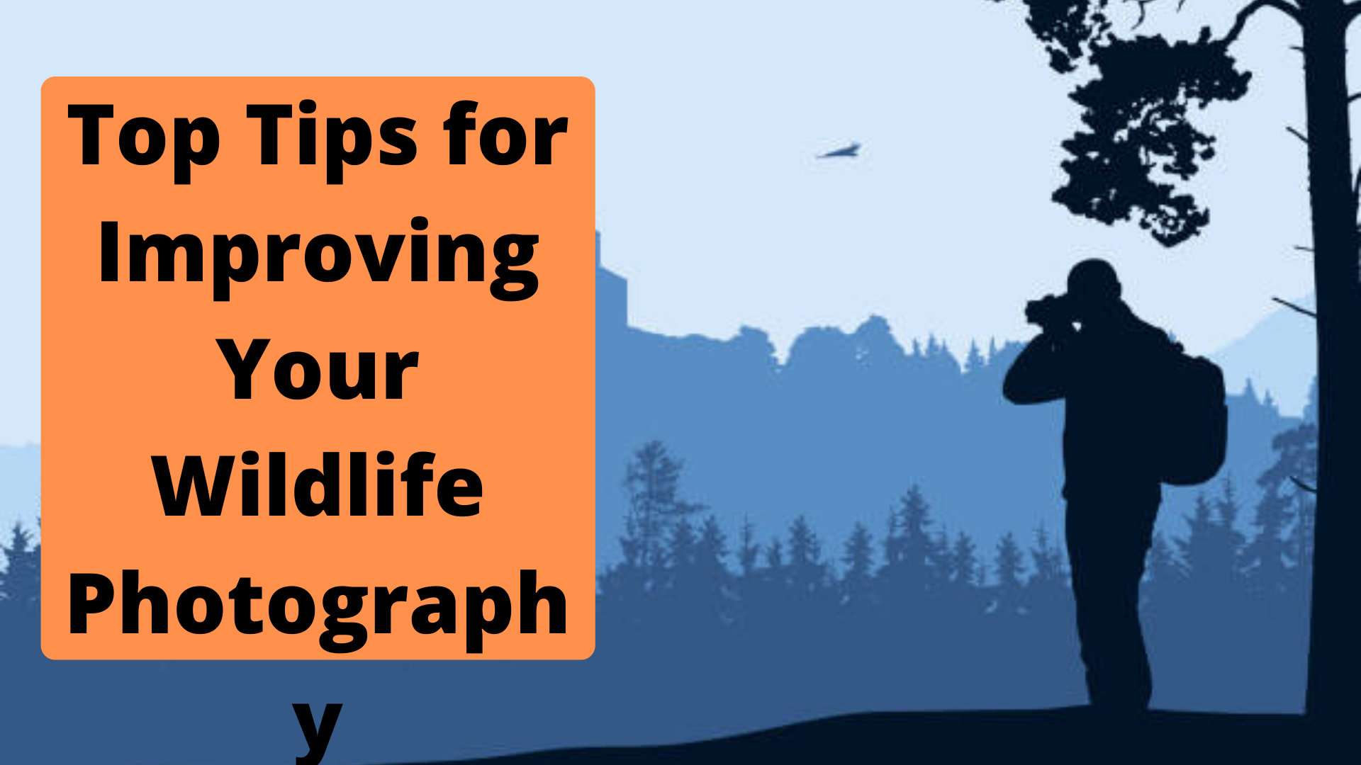 Top Tips for Improving Your Wildlife Photography