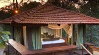 Resorts In Pench National park