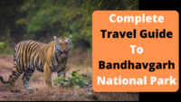 Travel Guide To Bandhavgarh National Park