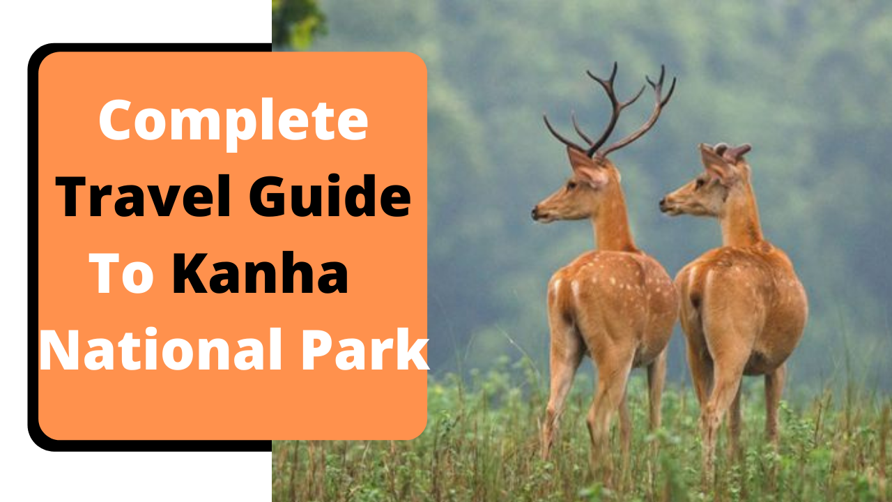 Complete Travel Guide To Kanha National Park | Kanha Tiger Reserve