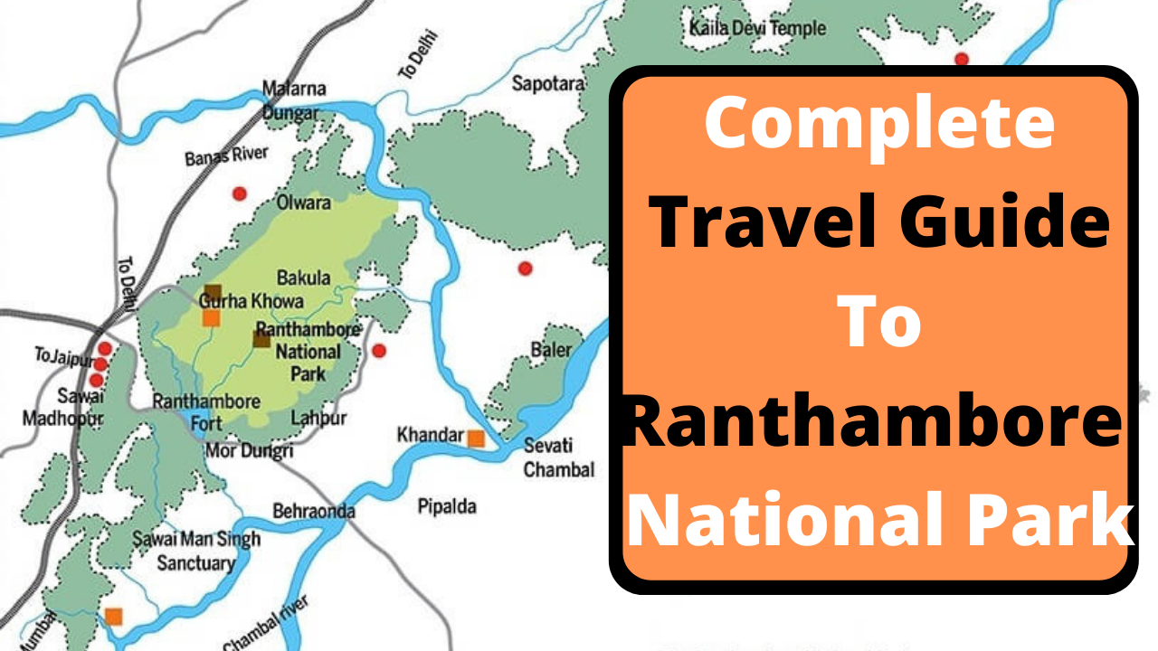 Travel Guide To Ranthambore