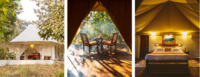 Places to stay At Pench National Park