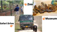 Wildlife Sancturies Near Bangalore