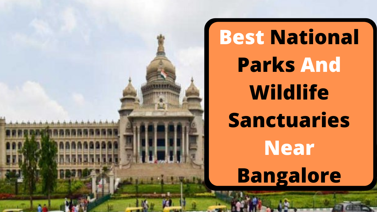 National Parks Near Bangalore