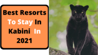 Best Places To Stay In Kabini