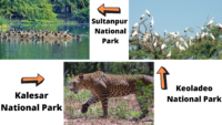 wildlife sanctuaries Near Delhi