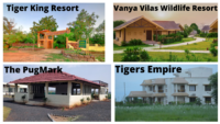 Best mid Ranged Resorts in Tadoba