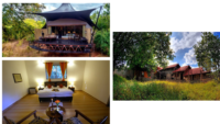 Resorts In Kanha National Park