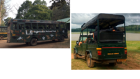 Jeep and canter safari in nagarhole