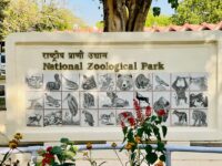 National Parks Near Delhi