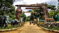 Wildlife Holidays Gateways Near Bangalore