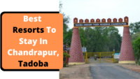 Best Budget Resorts To Stay In Tadoba