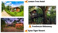 ResortsTo Stay In Bandhavgarh