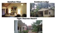 Budget Resorts In Bandhavgarh