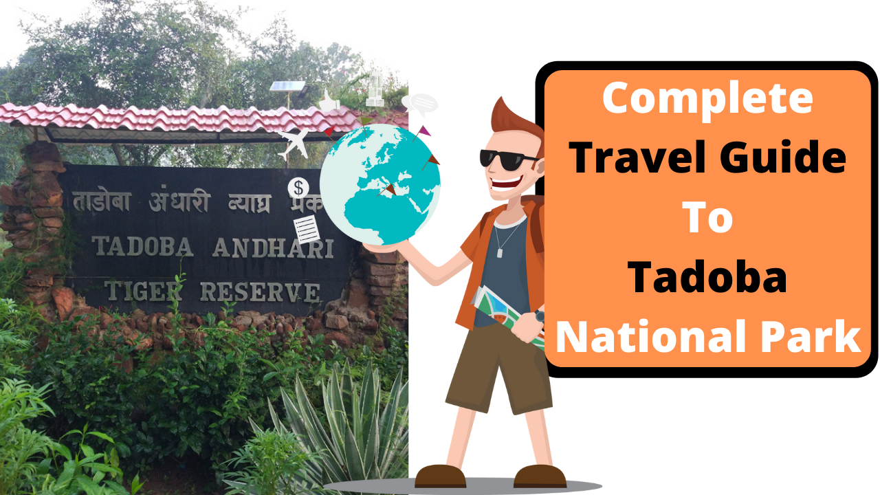 Complete Travel Guide To Tadoba National Park