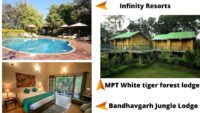 Places To Stay In Bandhavagarh