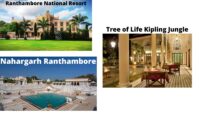 Places To Stay In Ranthambore