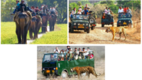 Safaris At Jim Corbett National Park