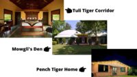 lodges To Stay In Pench