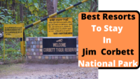 Best Resorts To Stay In Jim Corbett National Park