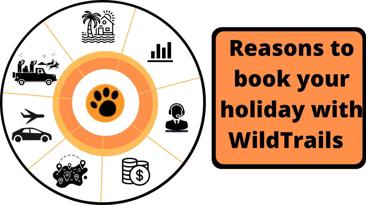 Reasons to book your holiday with WildTrails