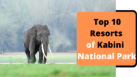 Top 10 Resorts of Kabini
