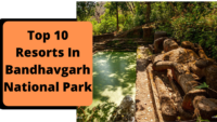 Top Ten Resorts In Bandhavgarh National Park