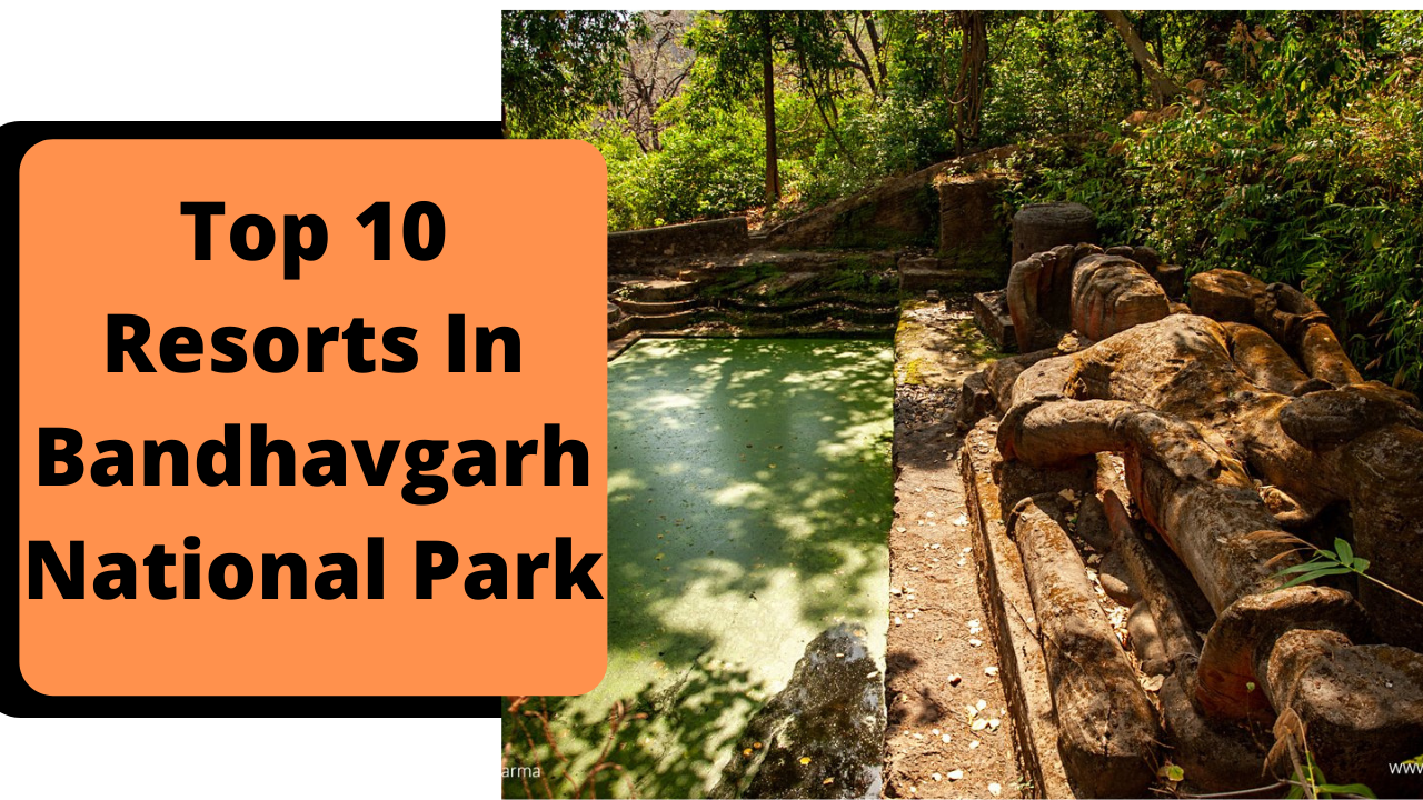 Top Ten Resorts In Bandhavgarh National Park