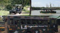 Safari Options In Kabini