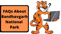 FAQs About Bandhavgarh National Park