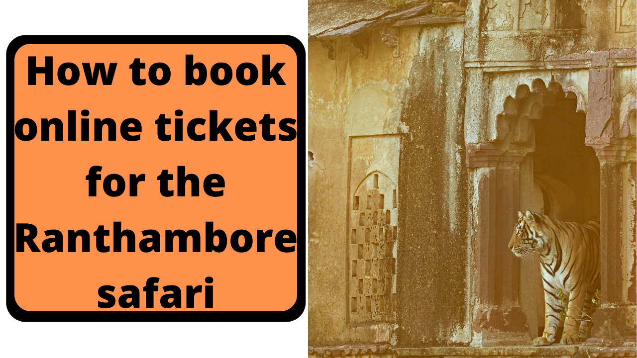 how to book ranthambore safari ticket online
