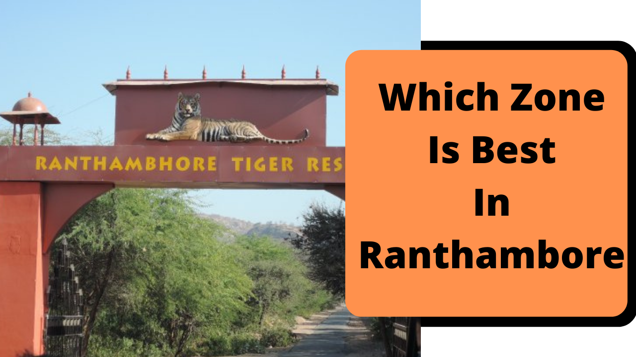 Which Zone Is Best In Ranthambore