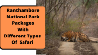 Ranthambore National Park Packages