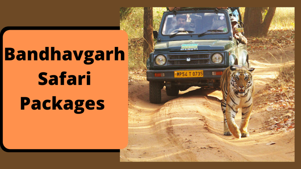 bandhavgarh safari price