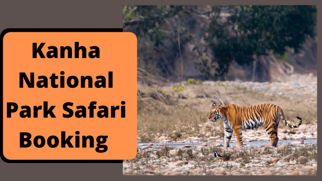 safari booking in kanha