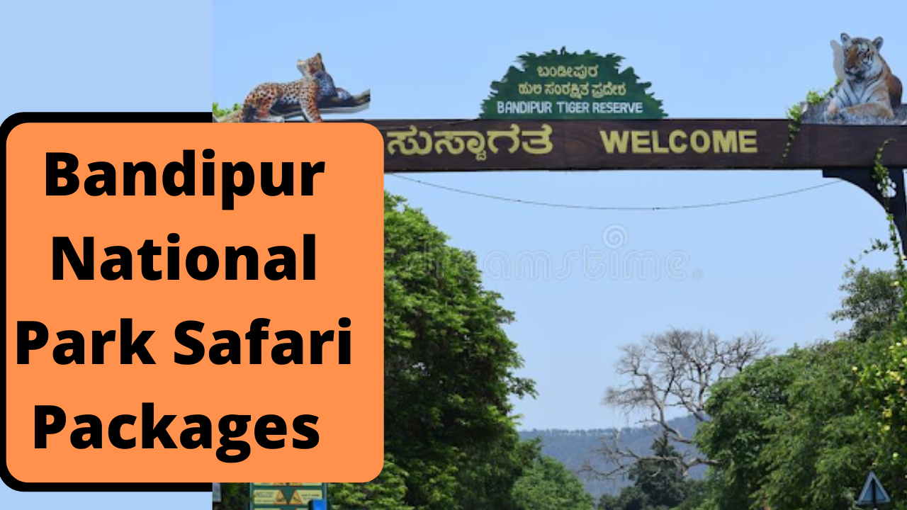 bandipur safari booking government website