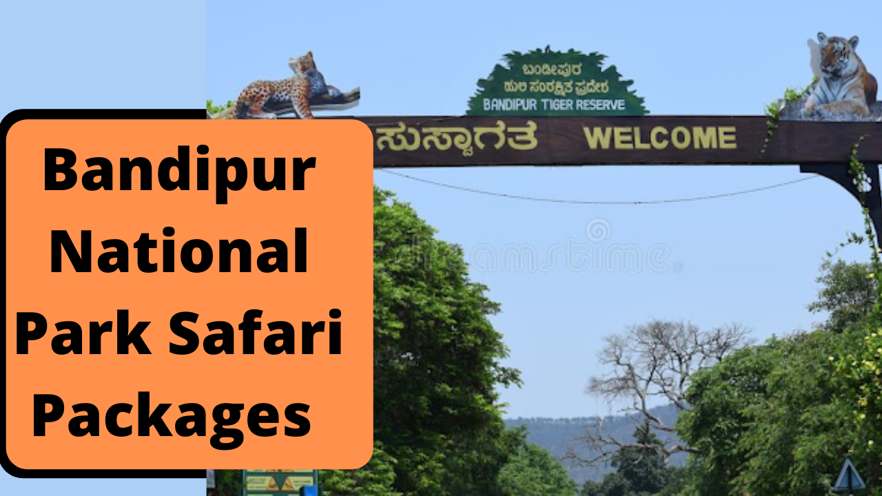 bandipur safari zones