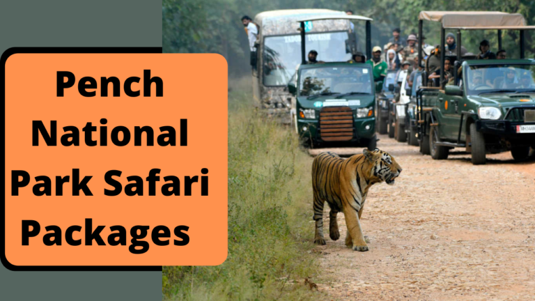 Pench Safari Packages | Pench National Park Packages