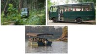 Safaris In Kabini