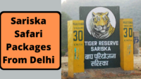 Sariska Safari Packages From Delhi