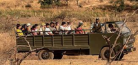 Canter Safari At Pench