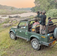 Jeep Safari At Pench