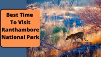 Best time to visit Ranthambore
